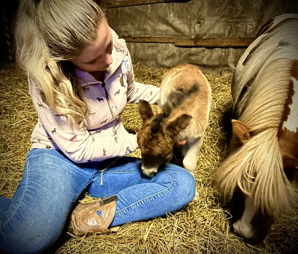 Über unsere Reitschule im Ponyparadies Westrum