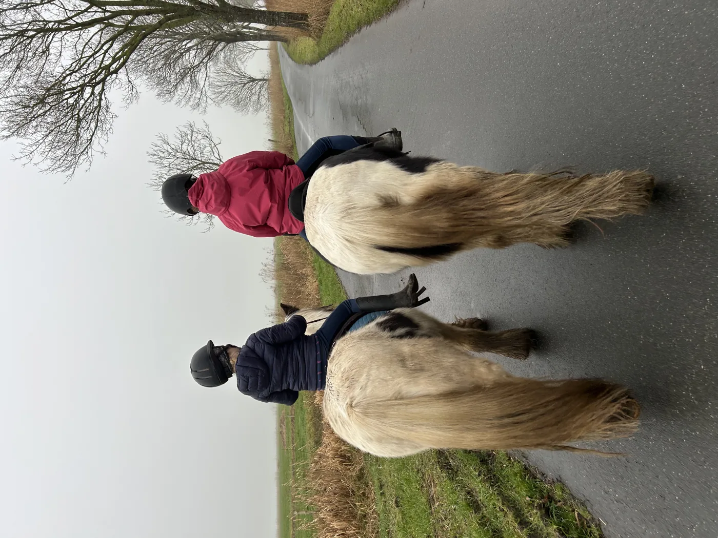 Reitunterricht im Ponyparadies Westrum
